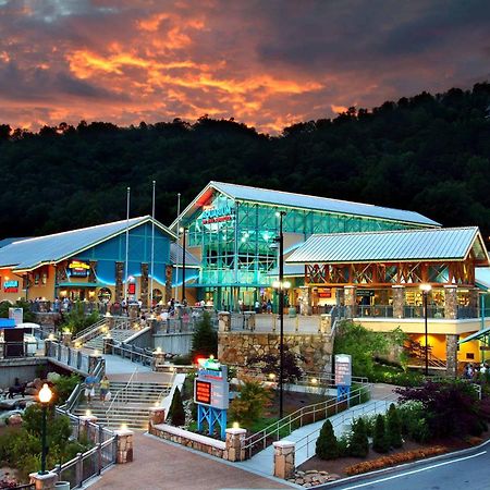 The Solstice - Amenities Galore Mountain Retreat Gatlinburg Ngoại thất bức ảnh