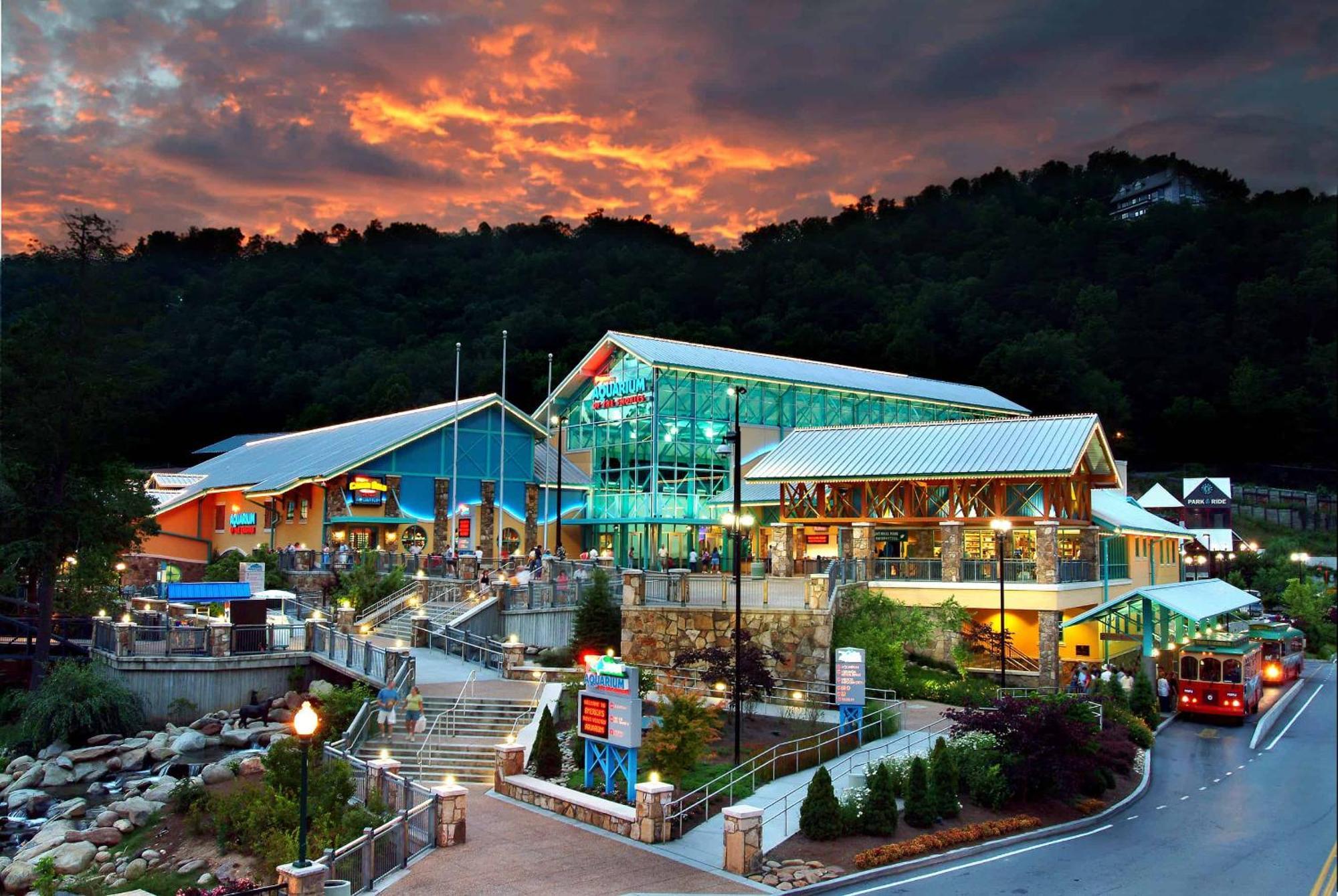 The Solstice - Amenities Galore Mountain Retreat Gatlinburg Ngoại thất bức ảnh